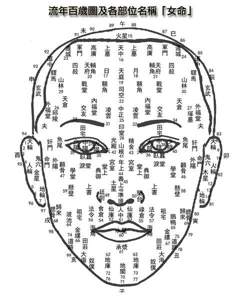 面相百歲圖